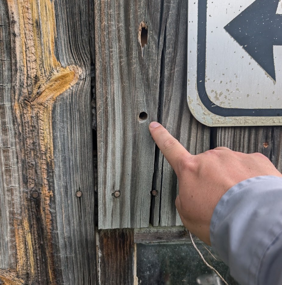 PXL_20250718_144815524